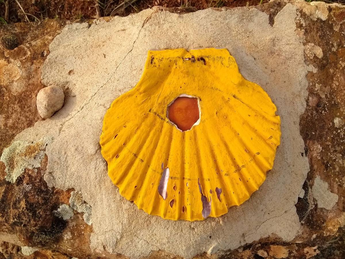 Yellow scallop shell waymarker on textured stone in Spain, the symbol that guides pilgrims to Santiago