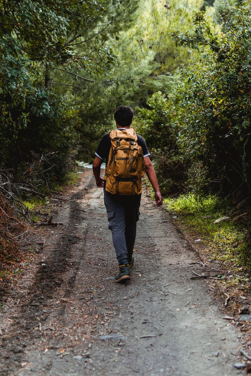 Back view of a hiker walking a leafy forest path, building up daily walking distance in training