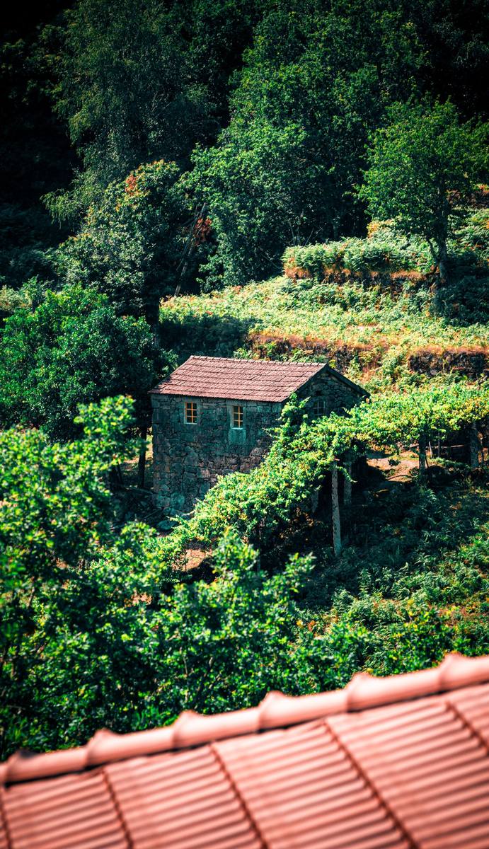 Rustic stone cottage set in the lush terraced hills of Sistelo in the Minho, the guesthouse feel of rural northern Portugal