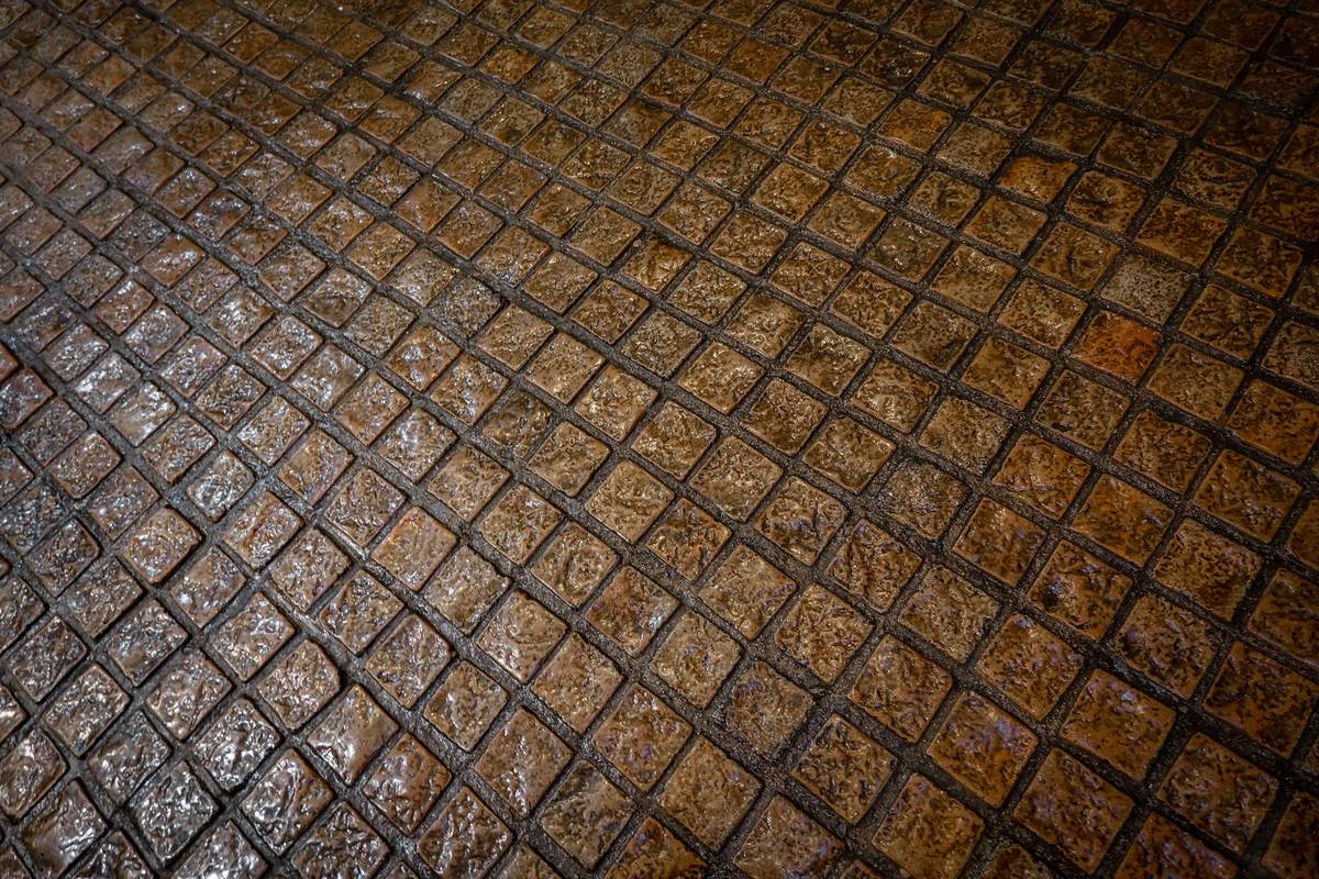 Rain-slicked cobblestones in close-up, the hard slippery surface that defines much of the Camino Portugues